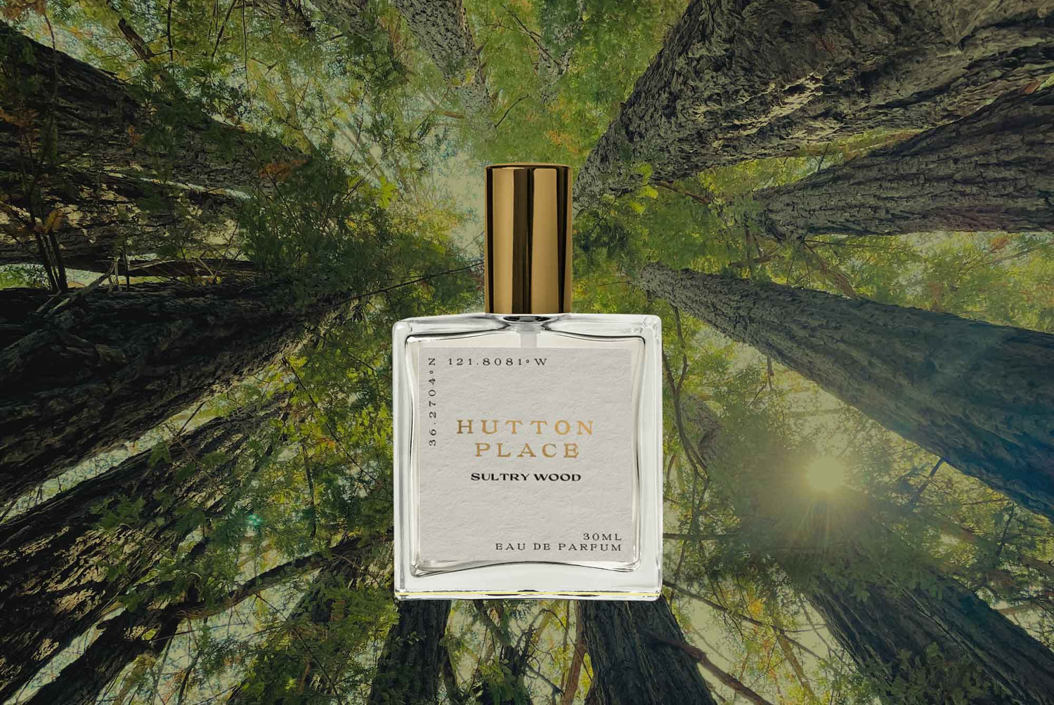 Sultry Wood perfume by Hutton Place